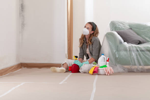 Reliable Commercial Mold Remediation contractor in Bonlee, NC by WQB Mold Removal